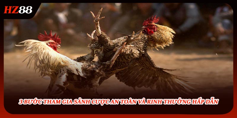 3 bước tham gia sảnh cược an toàn và rinh thưởng hấp dẫn