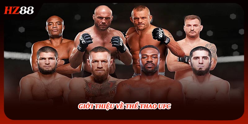 Giới thiệu về thể thao UFC